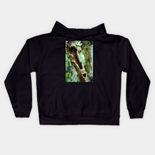 Dead tree in a young forest Kids Hoodie